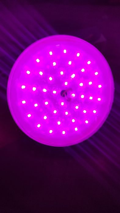 Фитолампа полного спектра