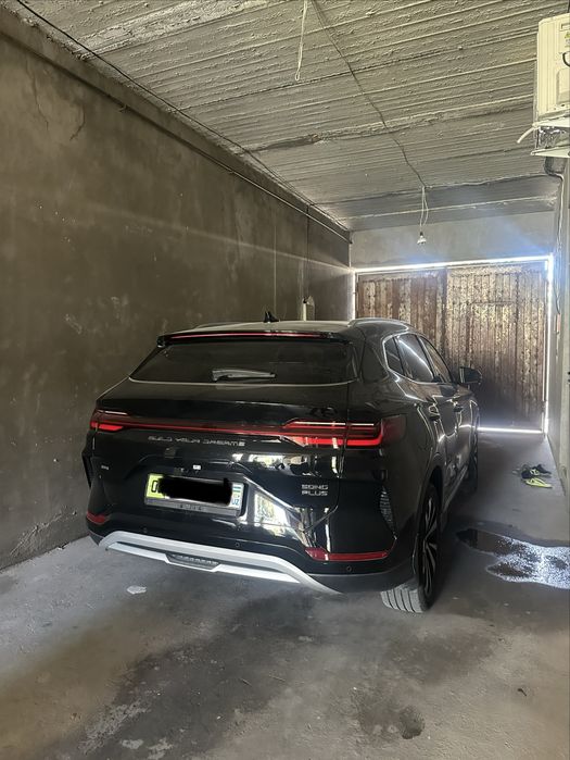 byd chenpion 2024 yil