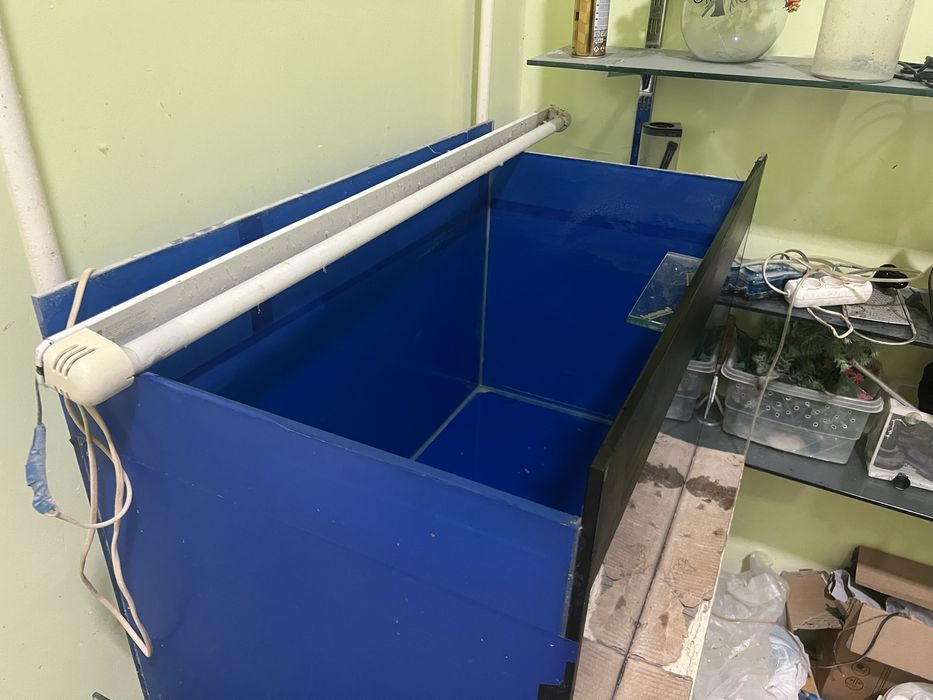 Baliqla uchun katta akvarium