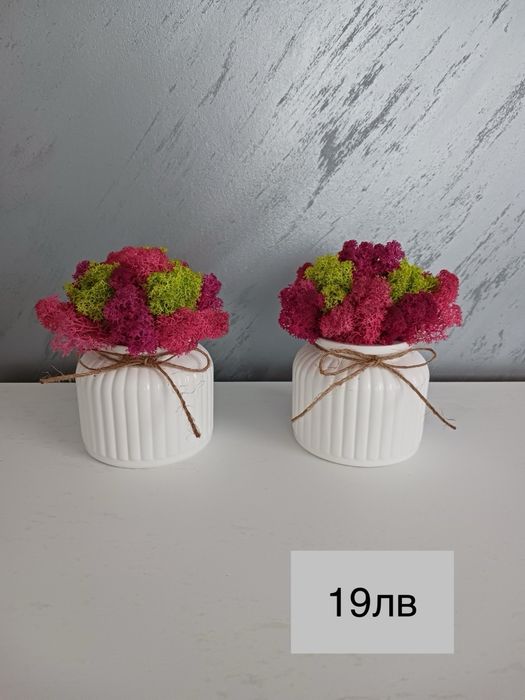 Декоративни кашпи с естествен скандинавски мъх