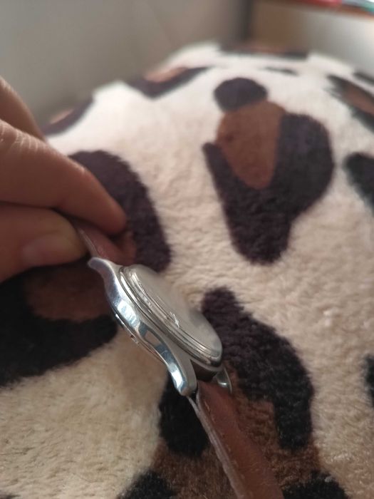 Ceas automatic Greenpeace 25 jewels