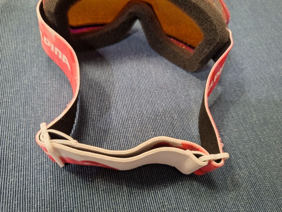 Alpina Scarabeo S ски очила