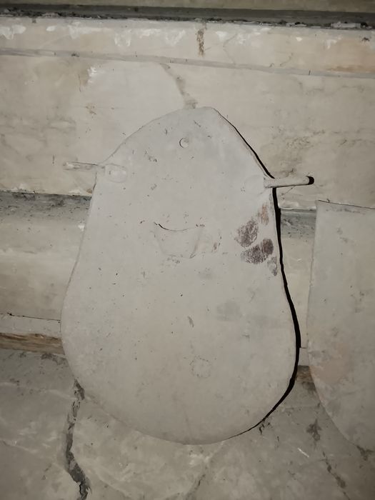 Ссср мошний  лапатки