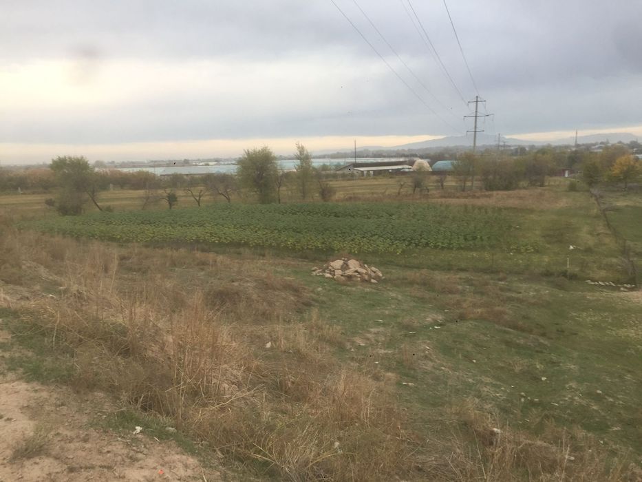 Сарагач Жер сатылад