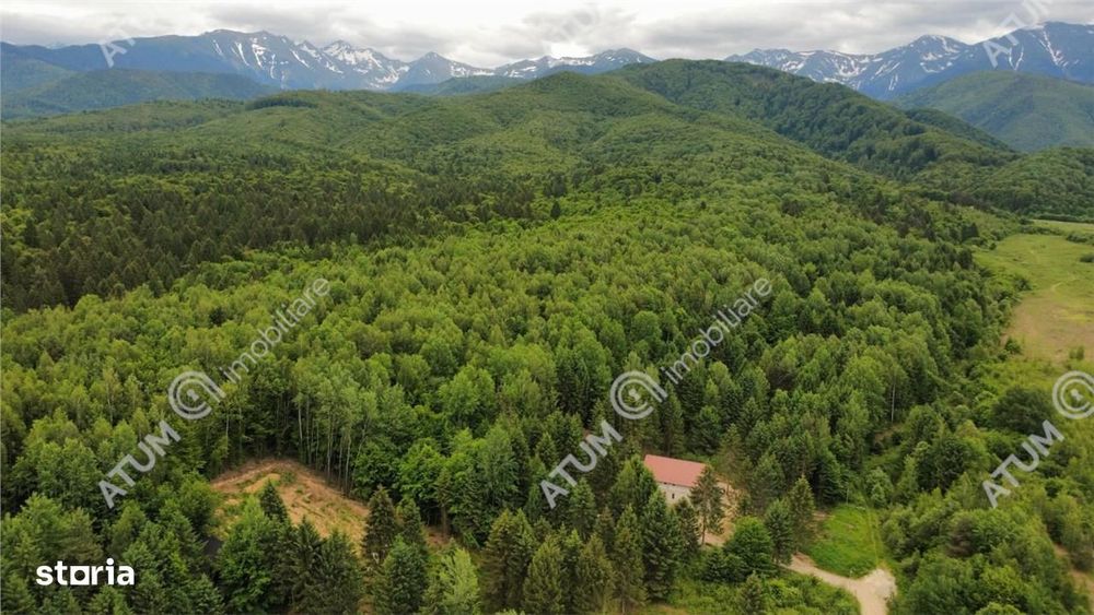 Teren intravilan in Porumbacu de Sus
