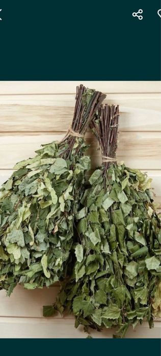 Веники берёзовый