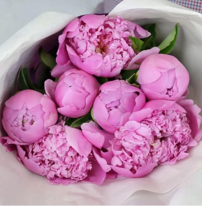 Букеты , Пионы ,,