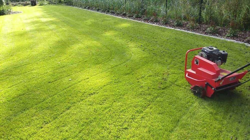 Aerator profesional pentru gazon (aerare gazon)
