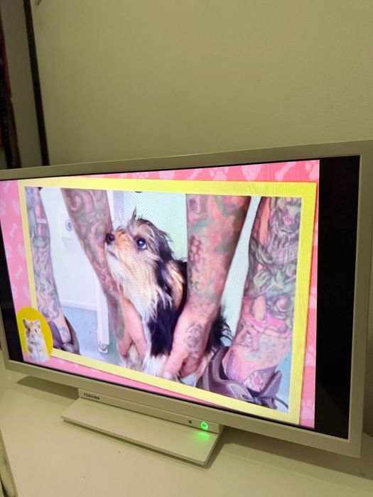 Televizor Toshiba 24” (62 cm)