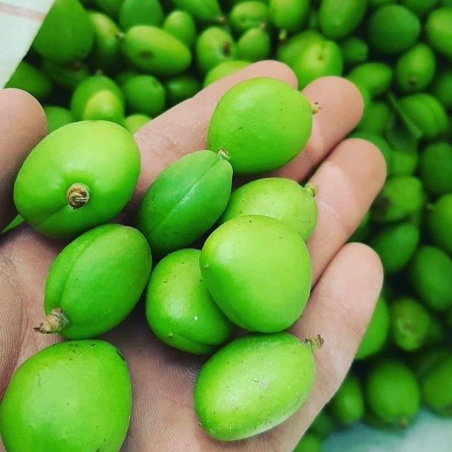 довча , куксултон, равоч  бор