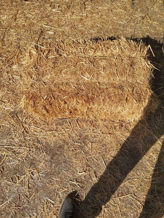 Somon pres bor. Yetkazib berish ham bor