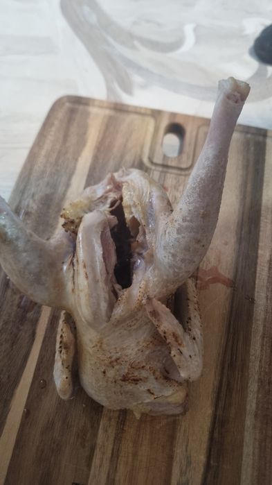 Куры домашние бульоные