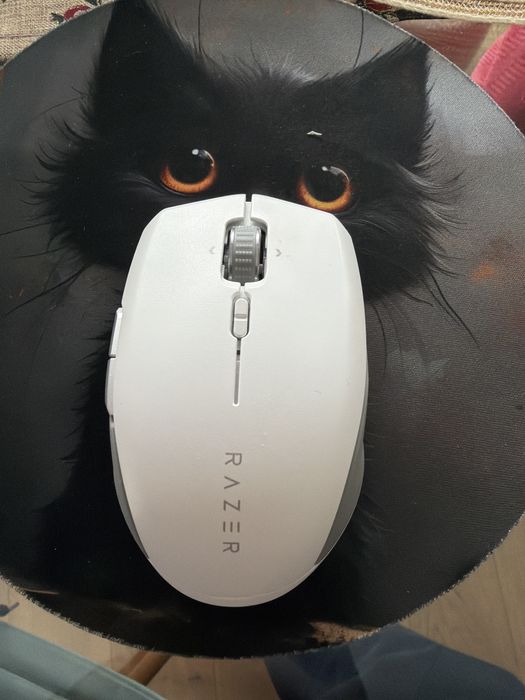 Mouse Razer Pro Click Mini