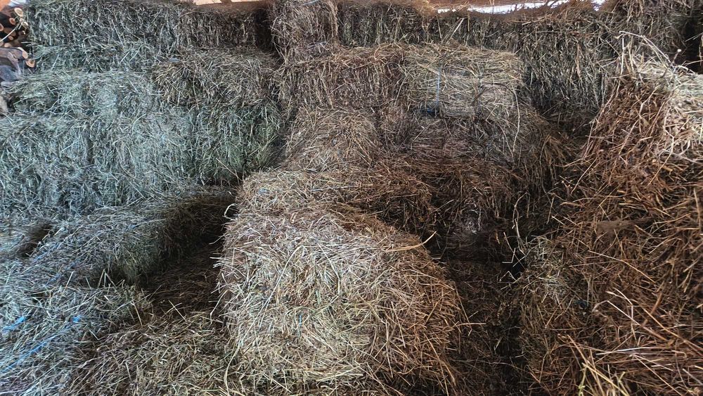 De vanzare baloti de fân