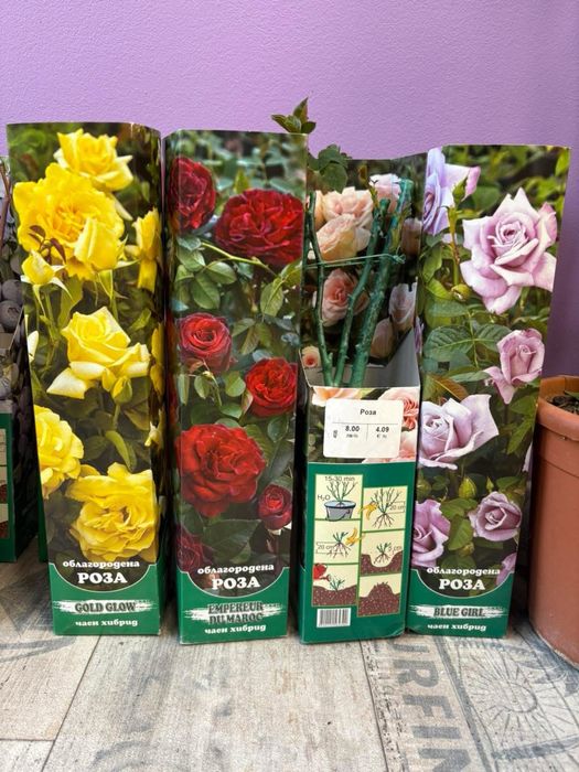 Градински растения - рози, нар, индийски люляк , смокиня …