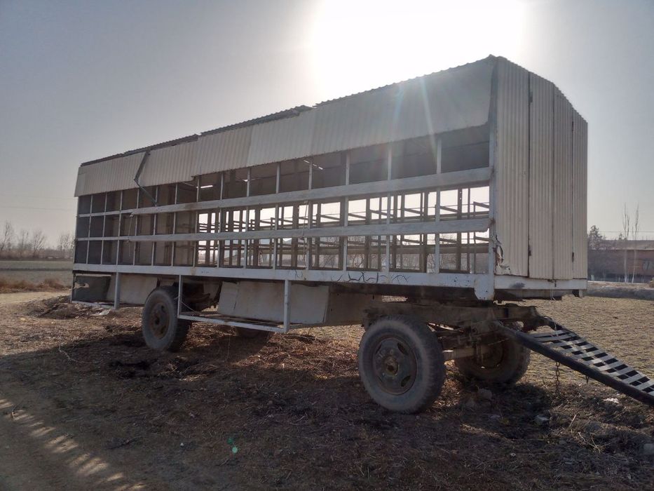 Asal arilar uchun vagon