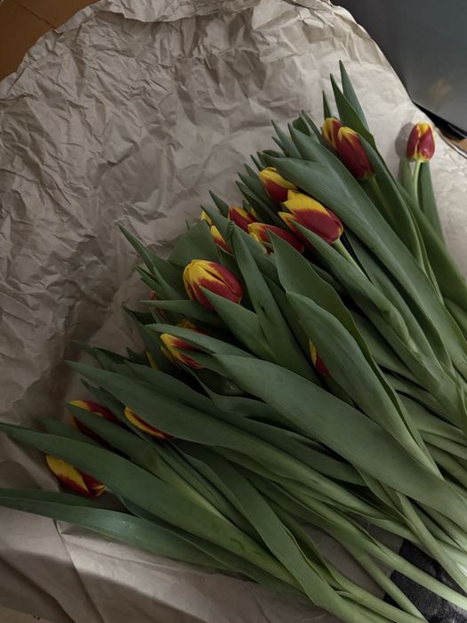 Тюльпаны 800 тенге розница