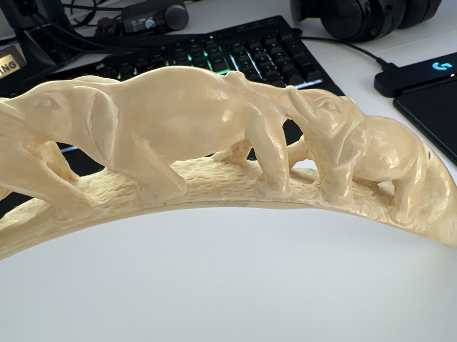 Colt de elefant scluptat