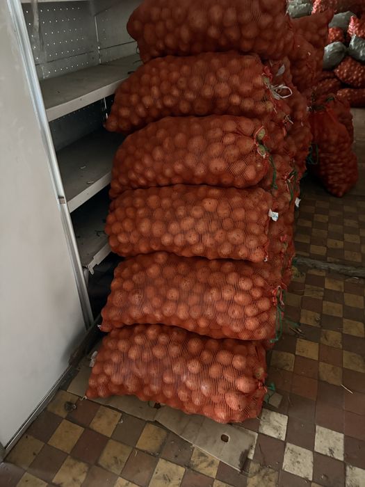 Продам Картофель