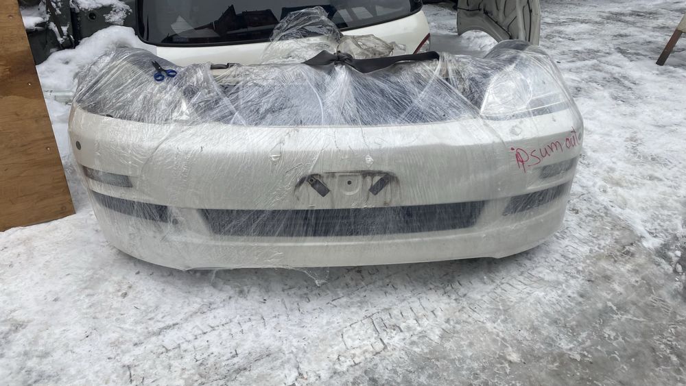 Ноускат Ипсум S комплектация