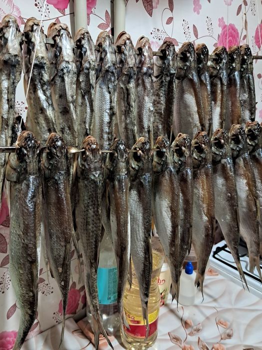 Рыба сушоная вобла и рыбец