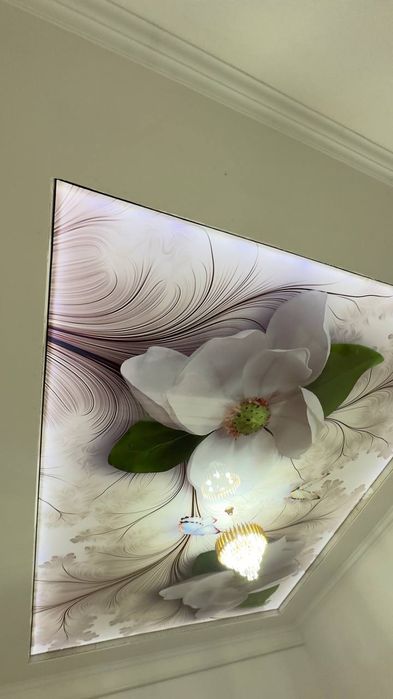 Натяжные потолки  Натяжной потолок Natyajnoy patalok potolok паталок