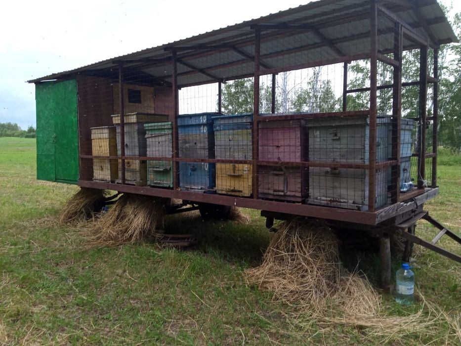 Продам павильон.