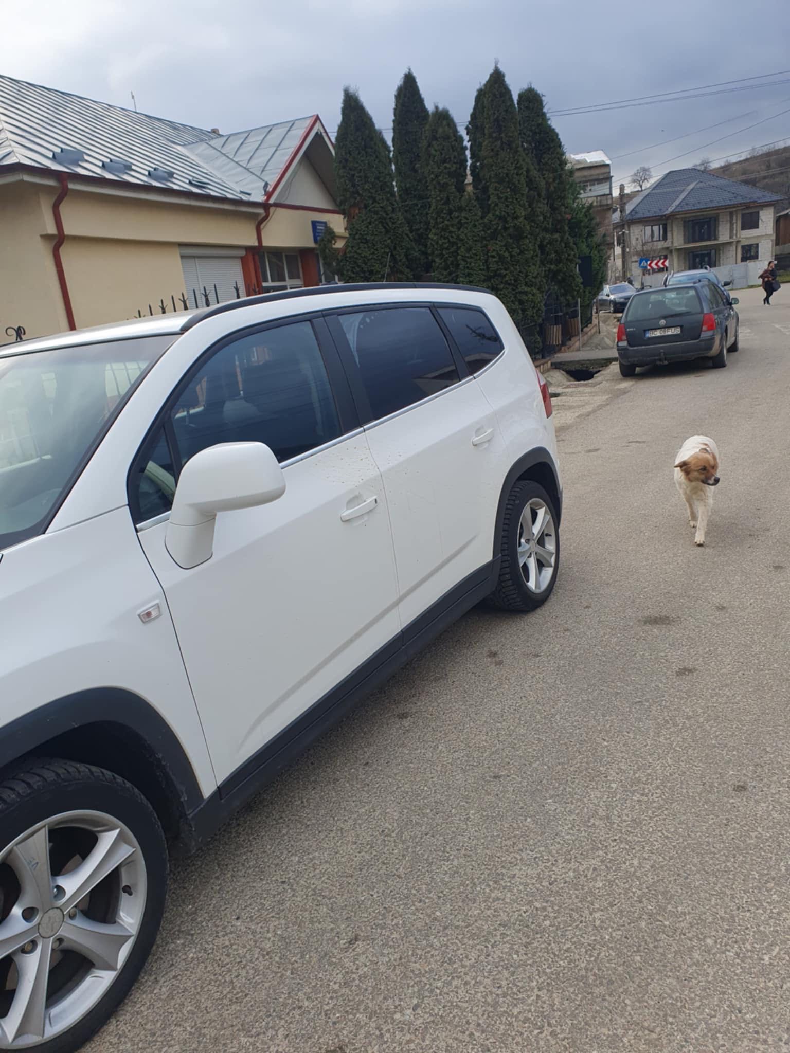 Chevrolet Orlando Voitures Bacau • OLX.ro