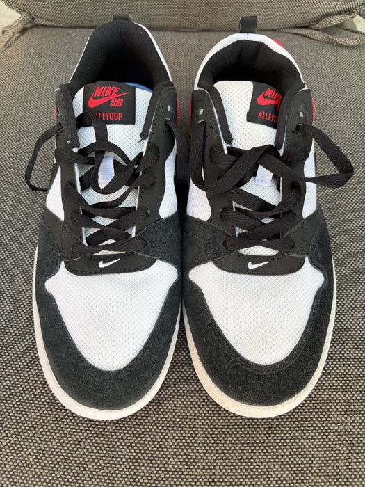 Nike sb Alleyoop