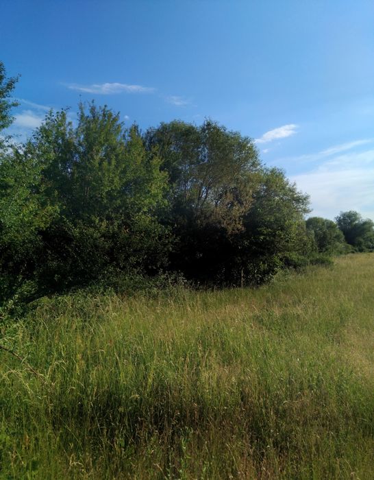 Продава имот в с.Баланово общ.Дупница