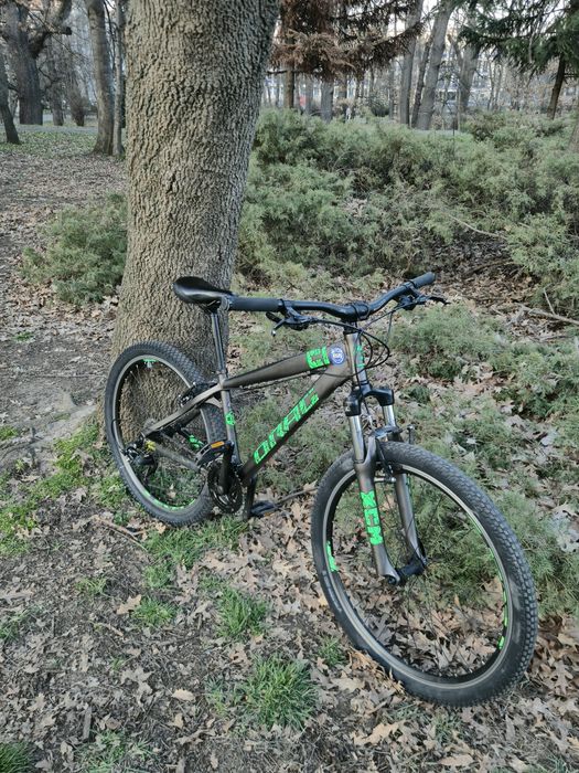 Колело Drag c1 comp 2022