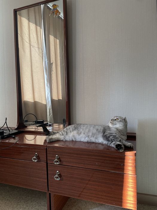 Трюмо деревянное