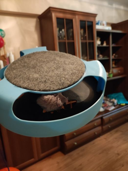 ZOO игровой комплекс синий