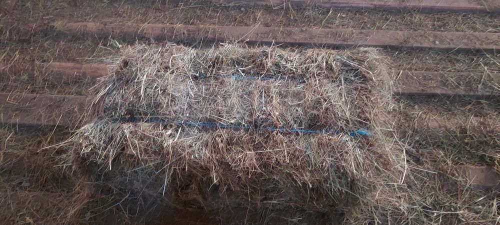 Baloți de lucernă, fân dreptunghiular,rotund!