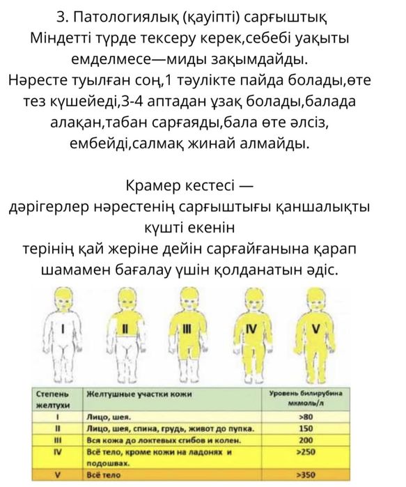 Фотолампа сдаю в аренду