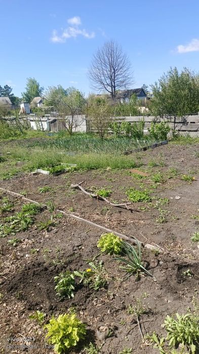 Дача в СО Чапаево.