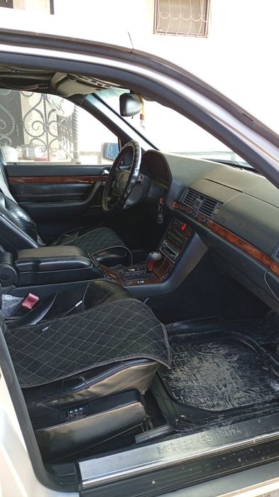 Кабан на разбор или целиком