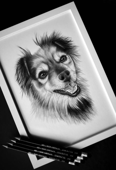 Ръчно рисуван портрет на домашен любимец