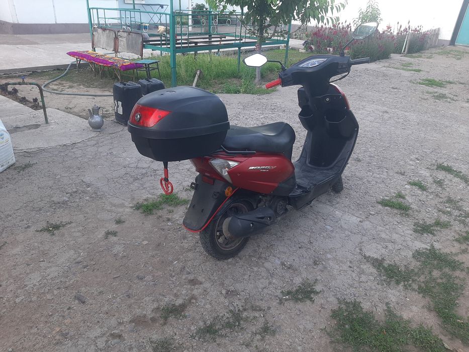 Мопед Popov DY48QT-AA