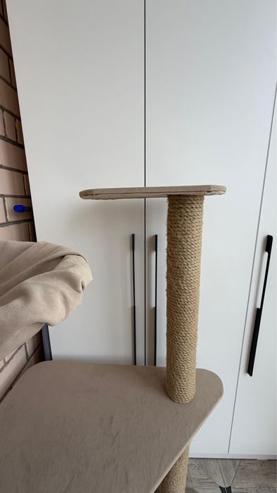 Когтеточка большой