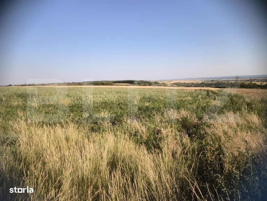 Teren 30.350 mp (600 mp intravilan) – ideal investitie, Carcea Metro