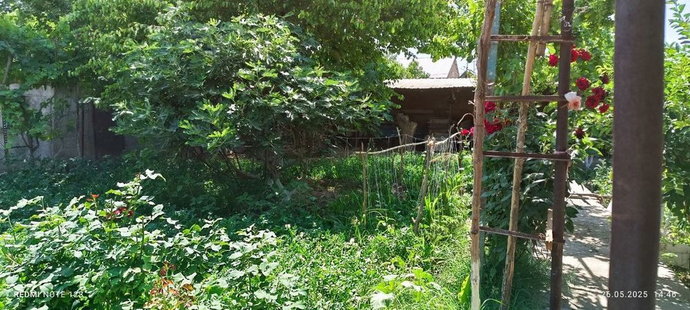 Продается Дача Восход  Срочно