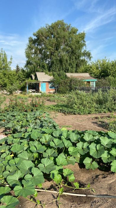Дача,сад Здоровье,7 соток. Торг уместен при осмотре