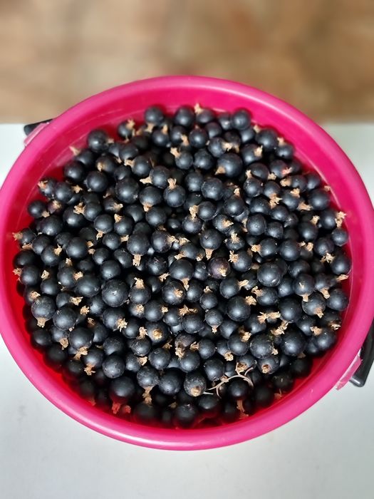 Продам дачный участок(дачу)!