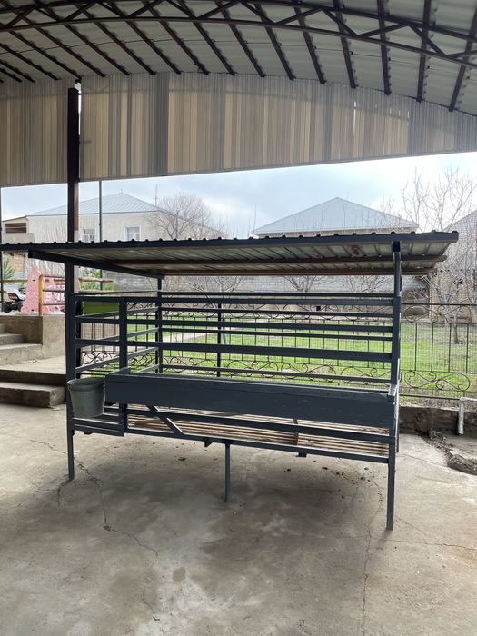 Эвро кора кой кошкар