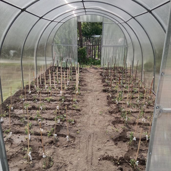 Продам дачу на Черёмушки