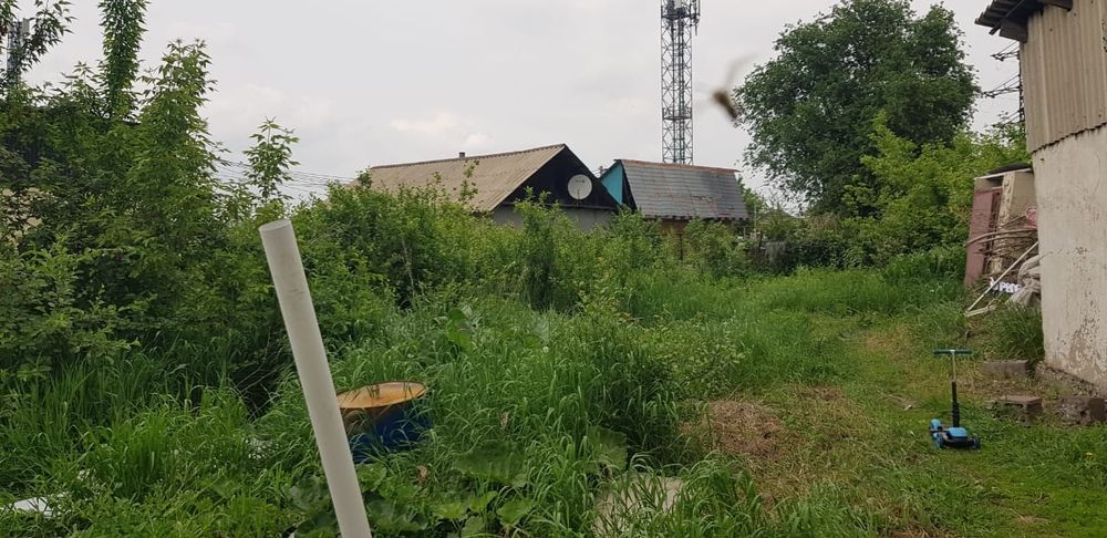 Дом барачного типа