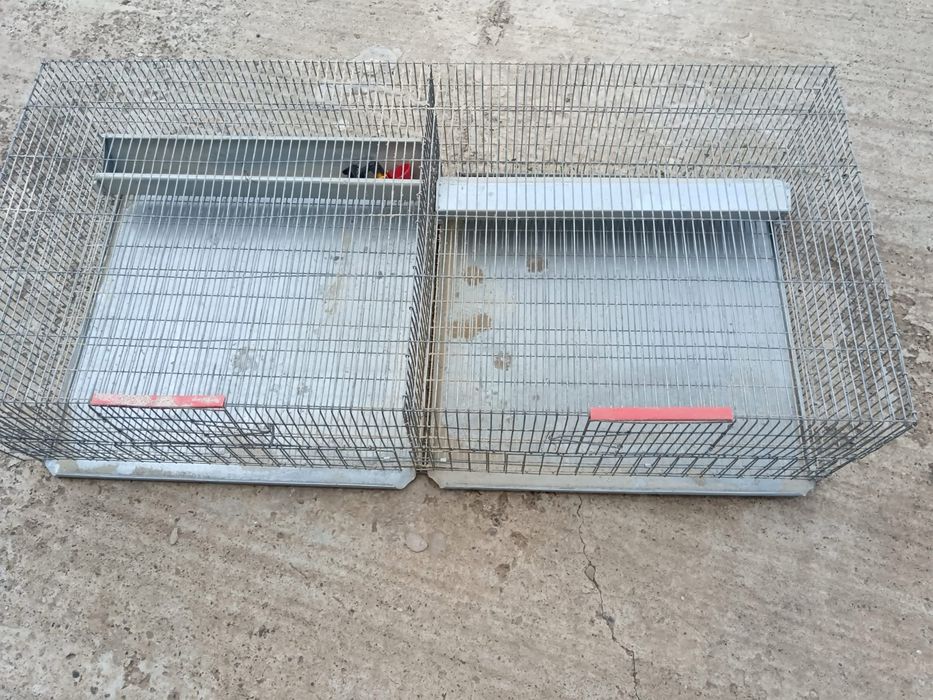 Cusca prepelite ouatoare de 80/ Cusca crestere tineret prepelite/gaina