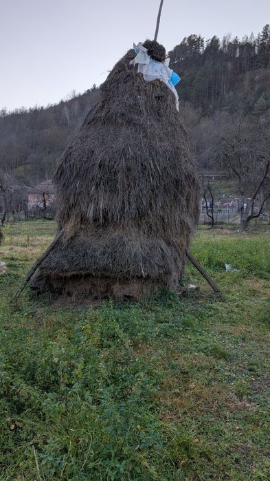 Lucerna de vânzare fan