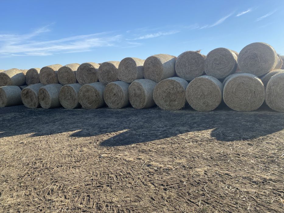 Vand Baloti Paie 150